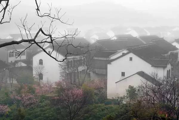 树山只差一个你丨梨花年年开，好玩的却不同