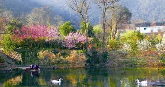 树山只差一个你丨梨花年年开，好玩的却不同