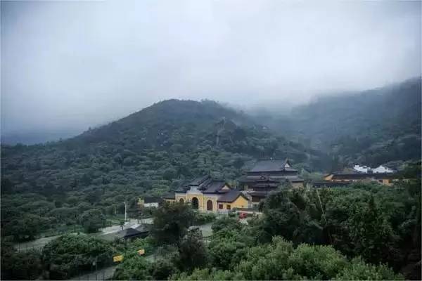 树山只差一个你丨梨花年年开，好玩的却不同