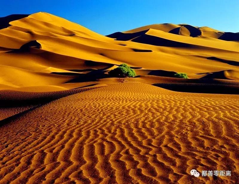 鄯善沙漠景区,鄯善旅游景点攻略大全最新