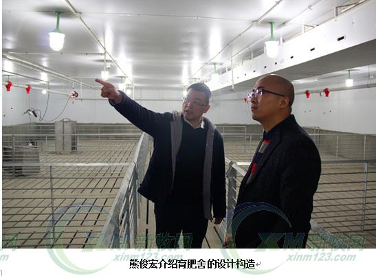 现代化育肥猪舍怎么建,低成本猪舍的建造