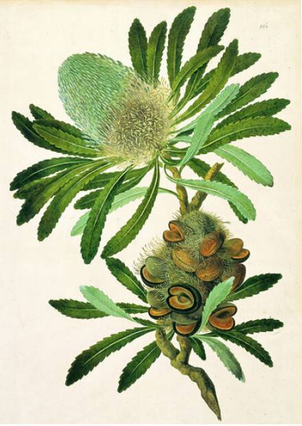 100本好书（爱一本书像爱一个人）