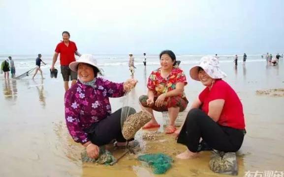 威海赶海攻略,威海冬季赶海攻略