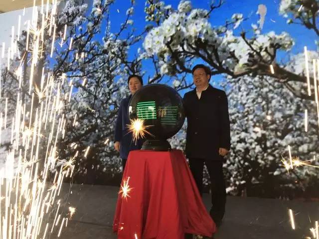 树山只差一个你丨梨花年年开，好玩的却不同