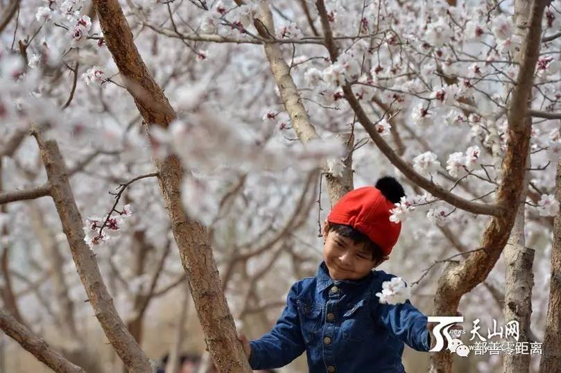 鄯善沙漠景区,鄯善旅游景点攻略大全最新