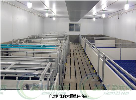 现代化育肥猪舍怎么建,低成本猪舍的建造