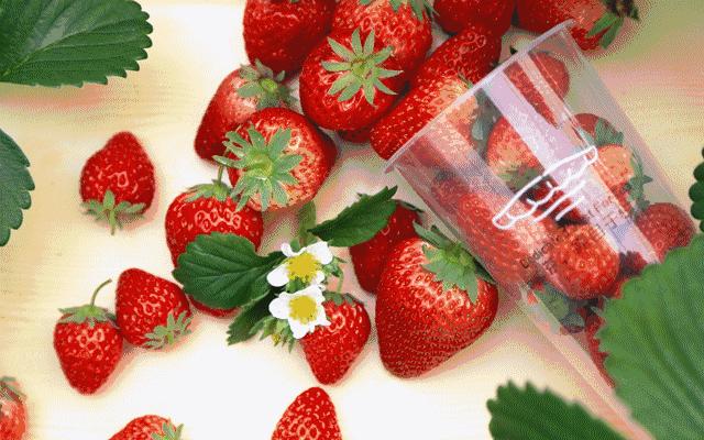 活动·3月26日丨只有美丽没有痛的纹身，来跟小行画一画吧！