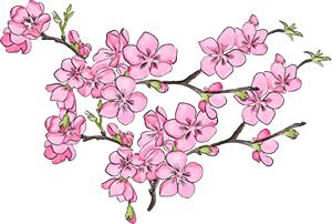 活动现场灯光秀视频,春酒活动回顾