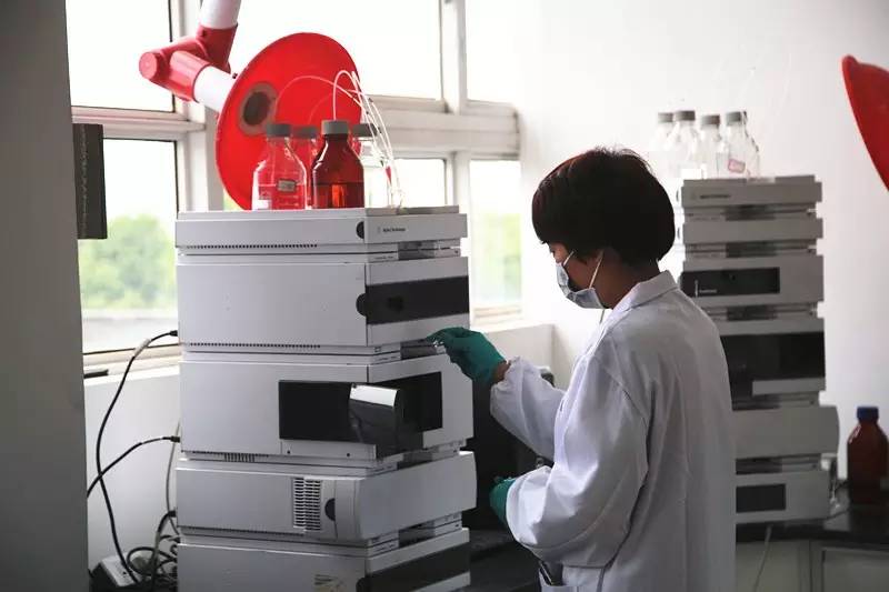 全国质量奖获得企业2019,区长质量奖评审概况