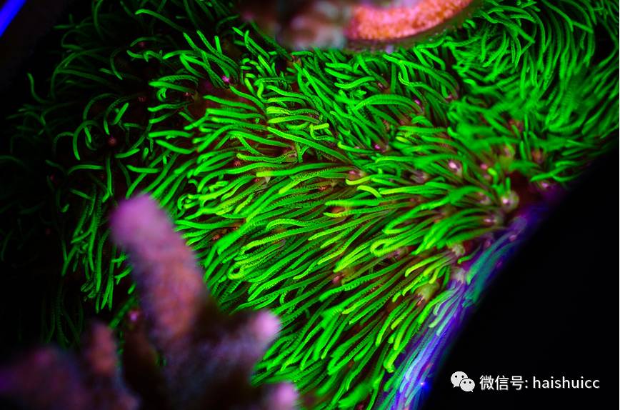 whatsapp显示版本过低,ph不超过1.8的原因