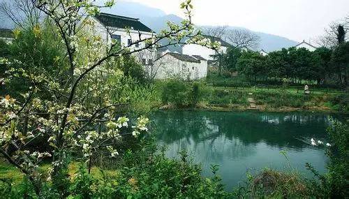 树山只差一个你丨梨花年年开，好玩的却不同