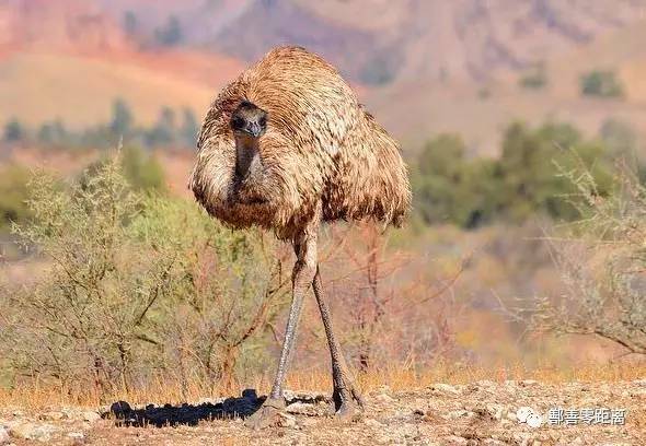 鄯善沙漠景区,鄯善旅游景点攻略大全最新