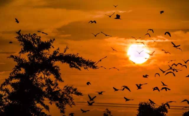 浣涘北婀垮湴瑙傞笩,浣涘北鍗佷匠瑙傞笩鑳滃湴
