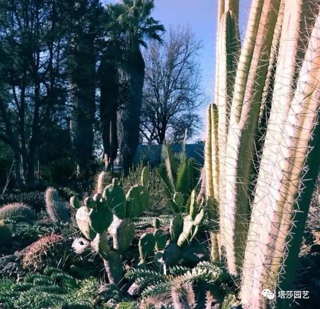 美国109岁老奶奶,109岁奶奶美国