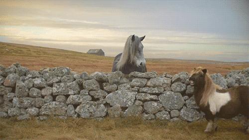 小伙子结婚也太激动了，新娘差点被摔伤呀！