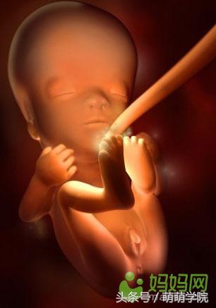 孕期1到40周胎儿发育全过程,胎儿发育40周全过程动态画
