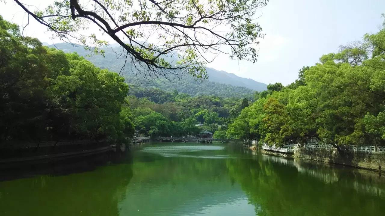 比西湖更值得去的地方,可以和杭州西湖媲美的景区