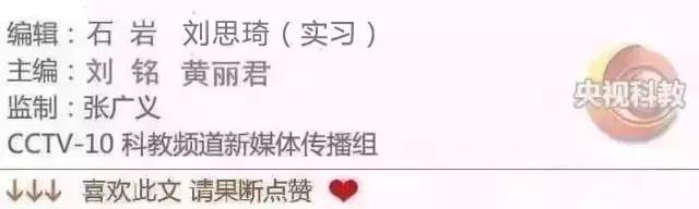 科技之光完整视频,科学练仰卧起坐