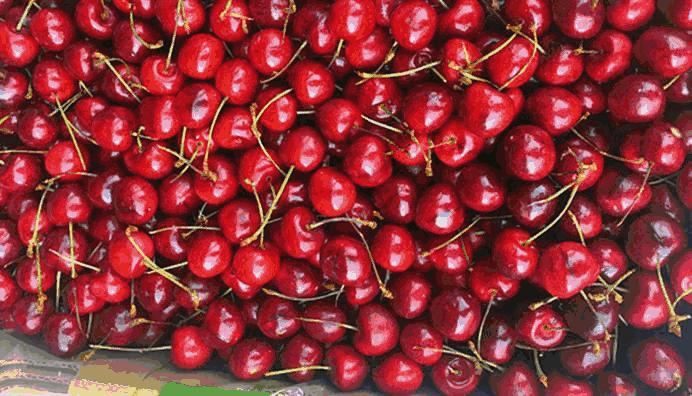 这芒果的味道太惊艳!年销6000万的批发商靠它成上海芒果一姐