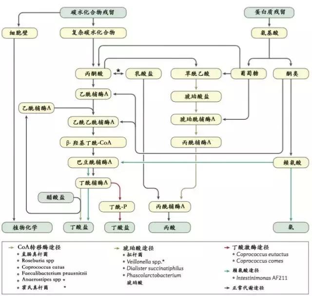 结直肠癌术后该怎么定期检查,结直肠癌出现便秘该怎么办