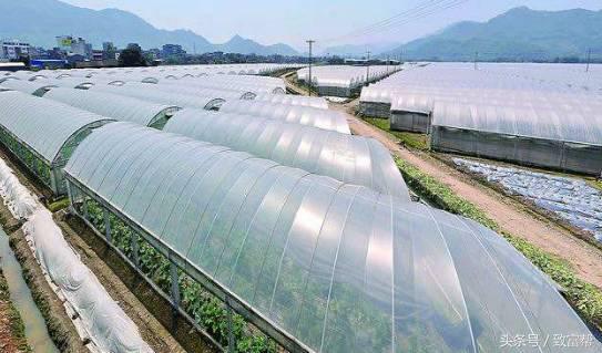 还嫌种粮不赚钱?这款新模式带您分分钟致富!