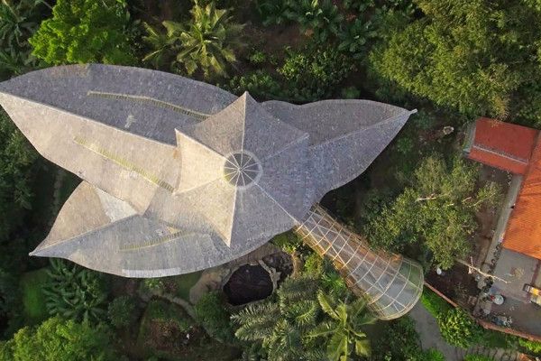 鏀惧純鍥藉楂樿柂鍥炲浗鍐滄潙鎵庢牴,鏀惧純楂樿柂璺戝埌娣卞北