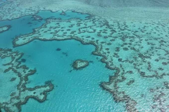刘强东与奶茶妹妹的婚礼举办地大堡礁到底有多美？自己去看！