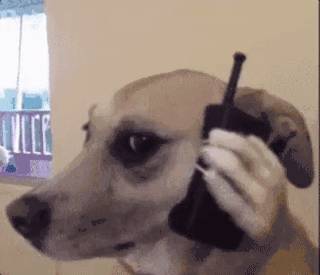 男人惹女生生气的高情商句子,男人故意惹你生气刺激你的表现