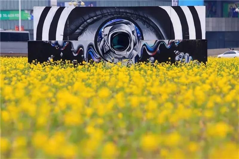 光阴正好花期已至，泰达有花海，何须羡婺源？