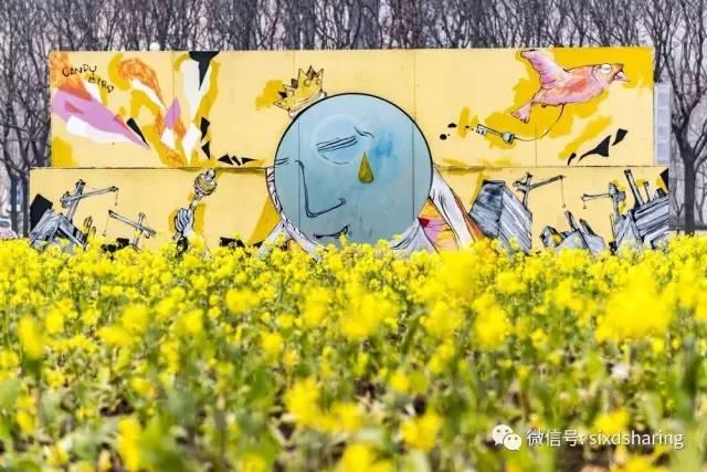 光阴正好花期已至，泰达有花海，何须羡婺源？