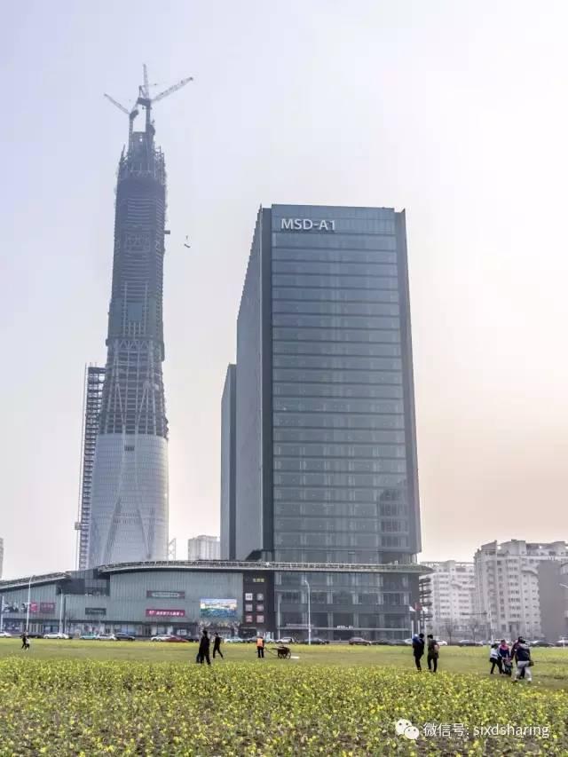 光阴正好花期已至，泰达有花海，何须羡婺源？