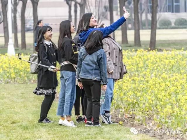 光阴正好花期已至，泰达有花海，何须羡婺源？