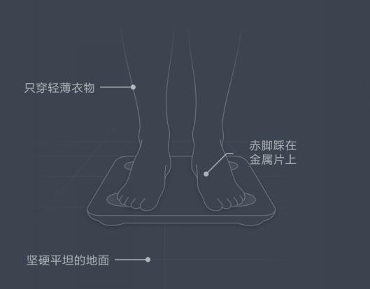 体脂秤和体重秤的区别,体重秤和体脂秤有什么区别