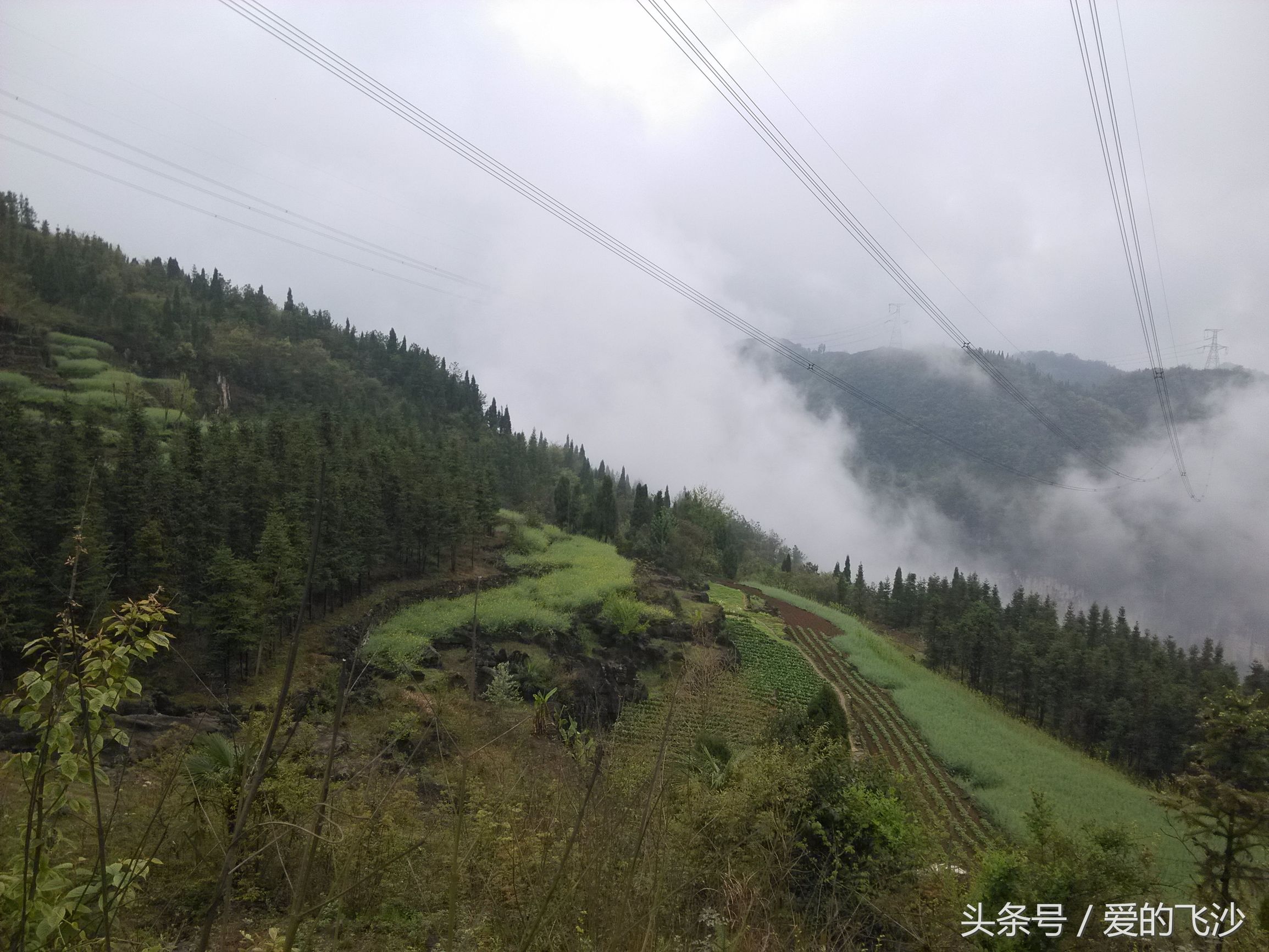 奇迹旅行南极新春之旅起航,奇迹旅行跨年夜