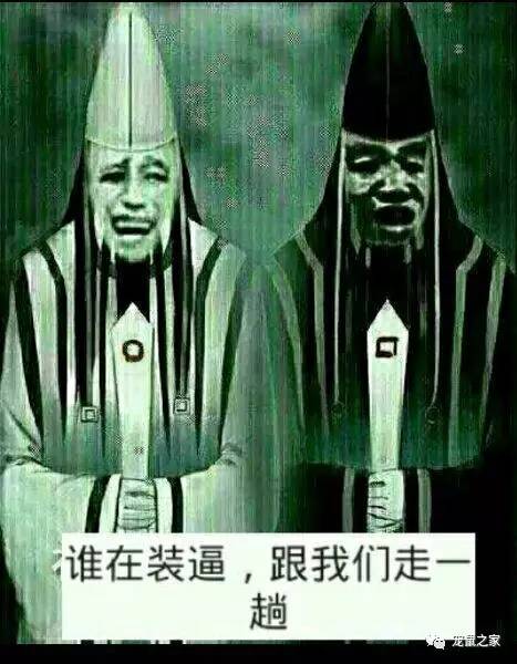 荷兰猪外出郊游，操心的事太多，其实只要做到这几点就可以了