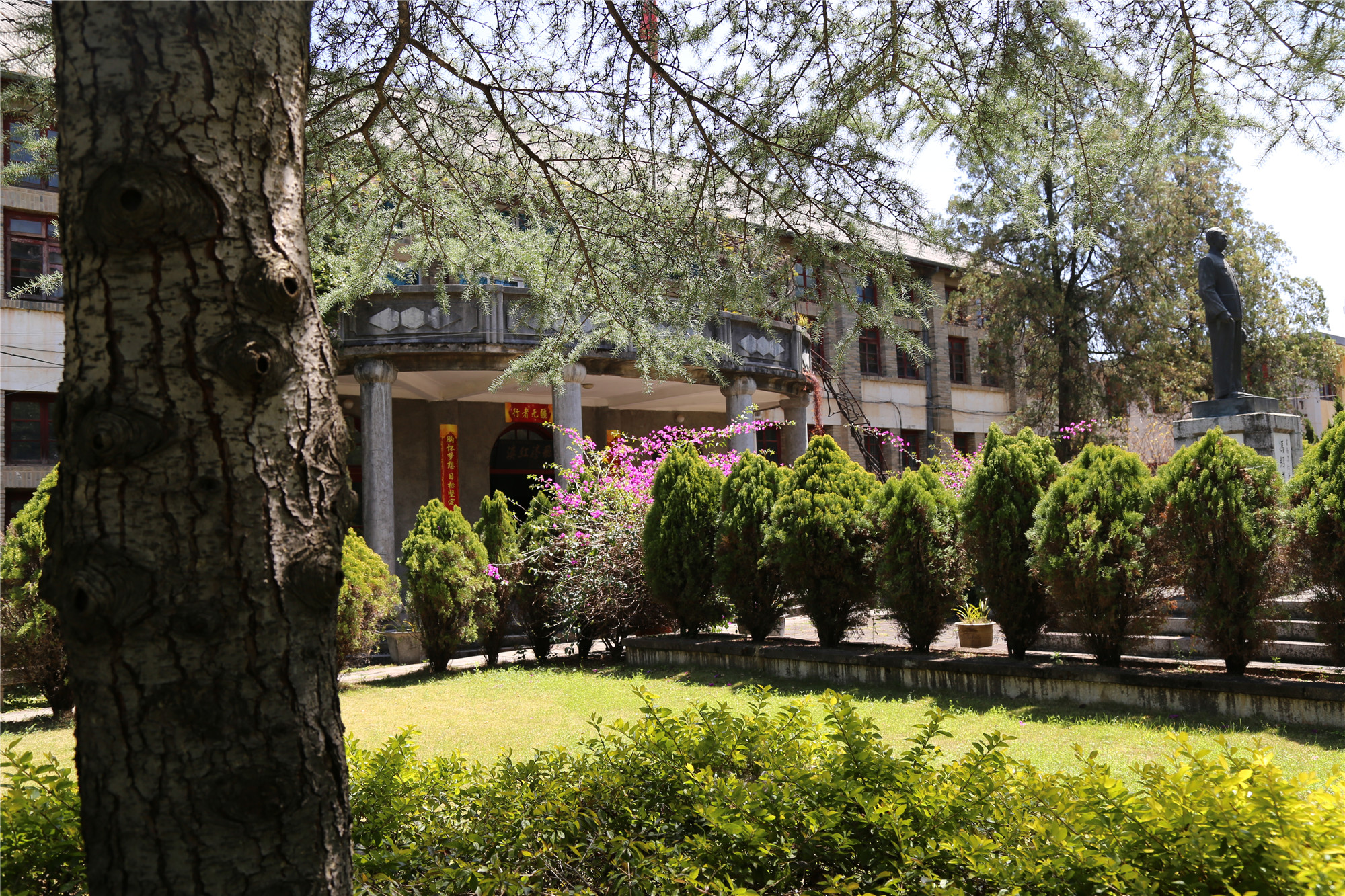 滇红记忆中国名茶,滇红创始人冯绍裘