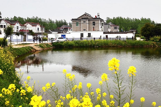 农村留守女人在家做什么,农村留守妇女在家做什么