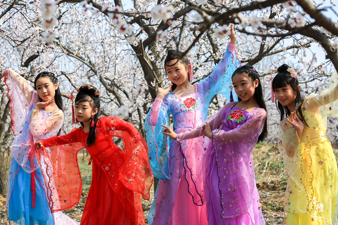 五彩小花童，在杏花从中上演三生三世！