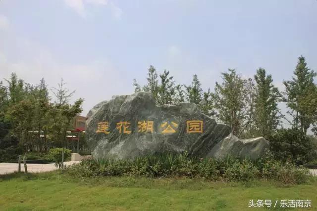 免费公园南京,南京十大公园排行榜
