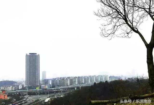 免费公园南京,南京十大公园排行榜