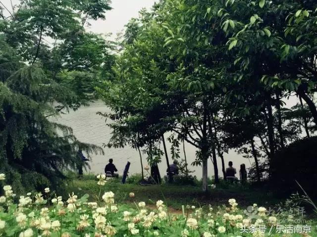 免费公园南京,南京十大公园排行榜