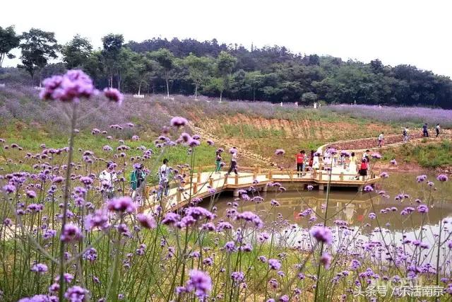 免费公园南京,南京十大公园排行榜