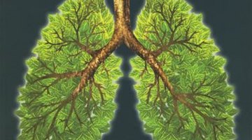 咳嗽咳痰半年是什么原因,50多岁反复咳嗽咳痰