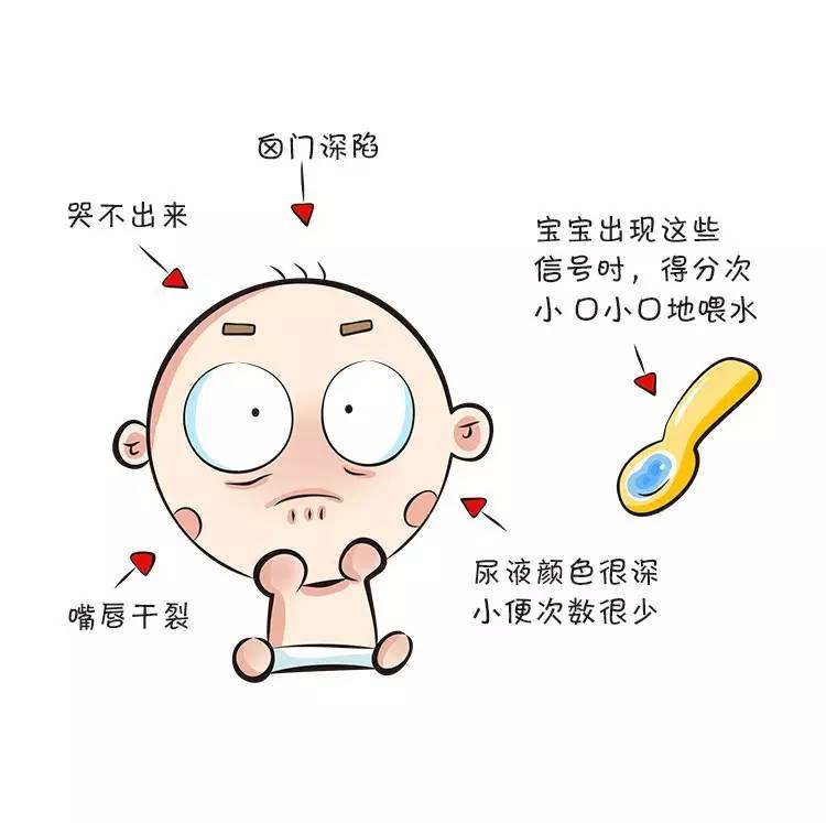 6个月宝宝需要喝水吗,6个月宝宝不喝水有什么妙招