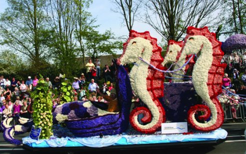 8个荷兰传统标志，第8个只有1%的领队才知道！