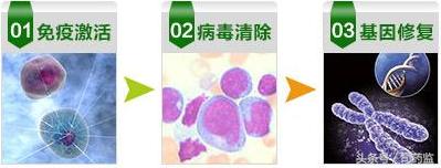 大腿根部疱疹久治不愈怎么办,单纯疱疹化脓久治不愈咋办