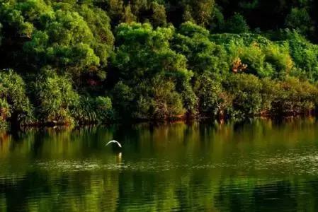 深圳单车爬山攻略推荐,来深圳必游的五大景点