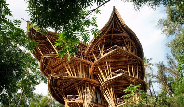 鏀惧純鍥藉楂樿柂鍥炲浗鍐滄潙鎵庢牴,鏀惧純楂樿柂璺戝埌娣卞北