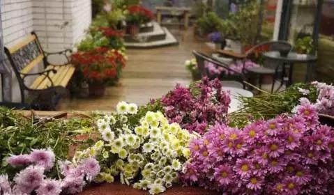 春风十里，不如睡你，南京这些特色旅馆，美貌又舒适！