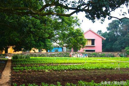 永州现真人开心农场-你还让人偷菜吗?
